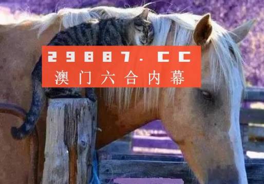 4949澳门一肖一码全年资料现场一肖一码全年资料直播-精选解释解析落实