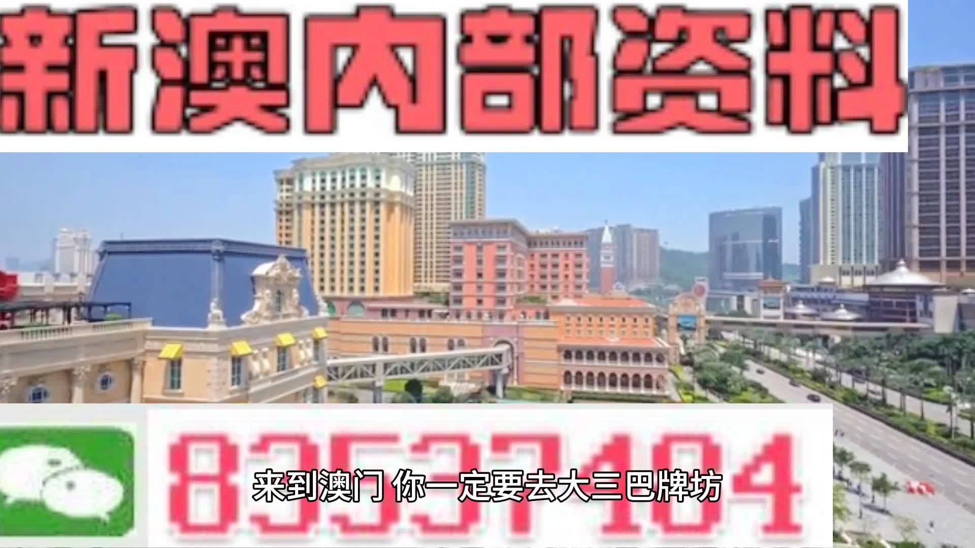 2025年新澳门王中王免费,精选资料解析大全