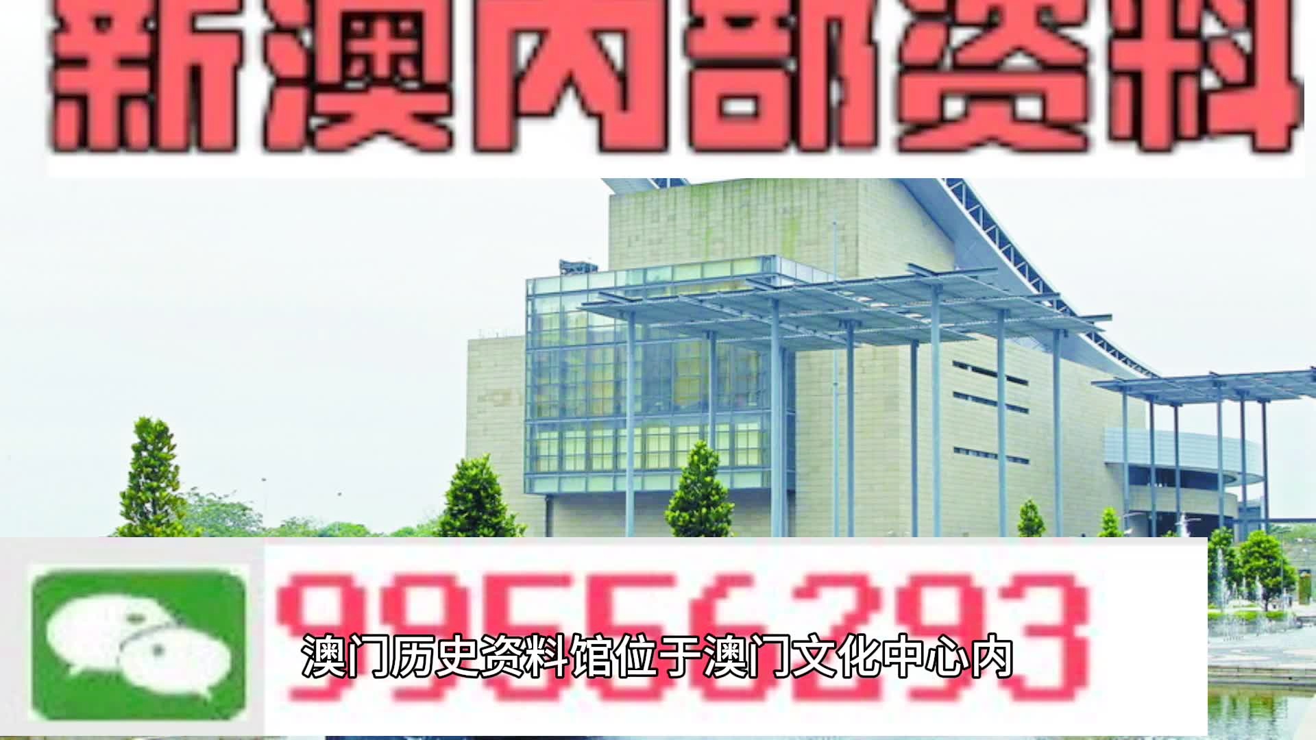 2025年澳门每日精选精准24码,精选资料解析大全