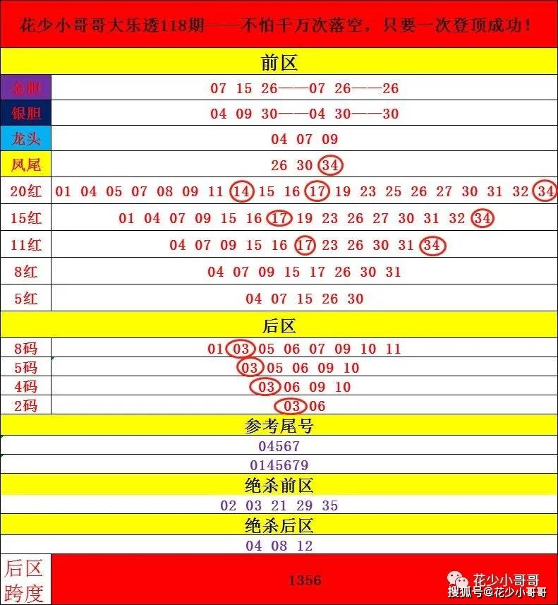 2025澳门今晚开奖号码香港记录,精选资料解析大全