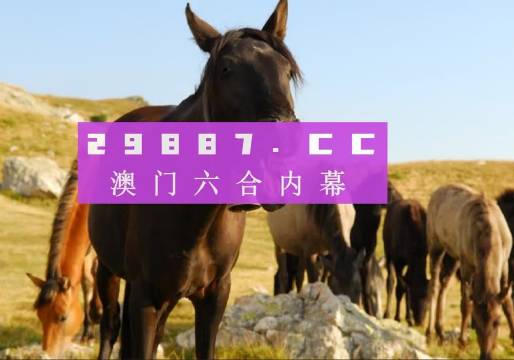 澳门六开彩开奖网站最新版,精选资料解析大全