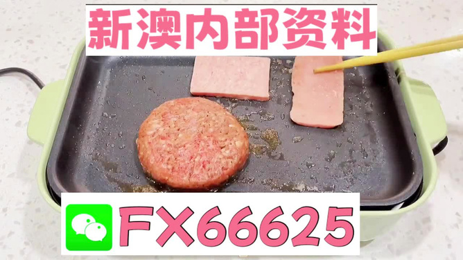 新澳门一码中精准一码免费中特,精选资料解析大全