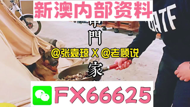 澳门王中王100的资料论坛,澳门王中王100的资料论坛——深度解析与探讨