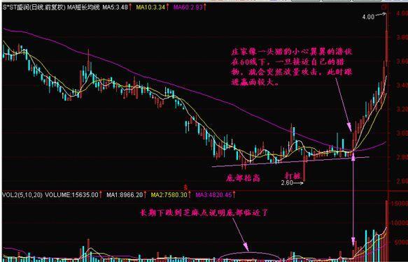 香港精准特马免费资料,香港精准特马免费资料，探索与理解