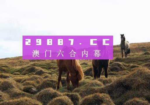 新澳门开奖结果+开奖结果,新澳门开奖结果及其实时开奖动态