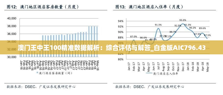 澳门王中王100精准数据解读,澳门王中王100精准数据解读，探索数据与命运的神秘关联