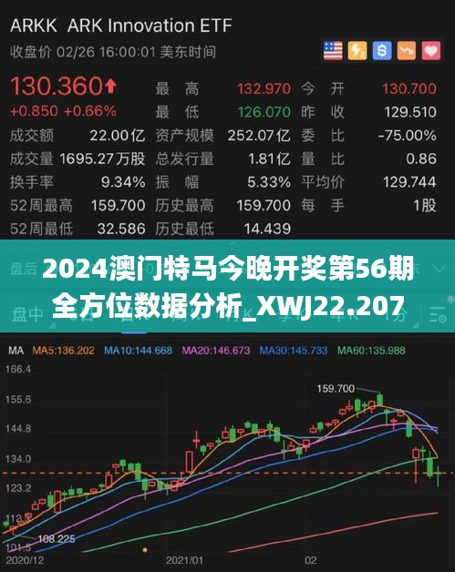 2025新澳门特马今晚开什么,探索未来，新澳门特马2025之夜