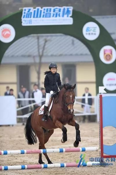 香港今晚开什么特马,香港今晚的马术赛事展望与特马预测分析